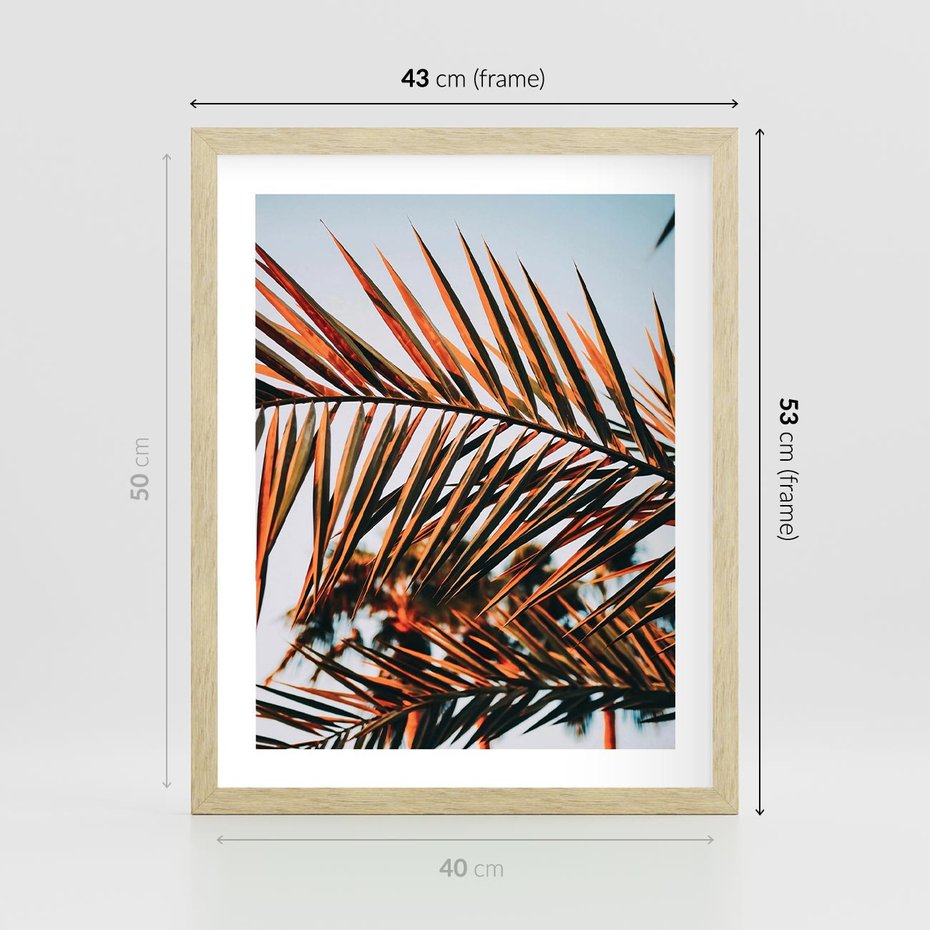 Plakat w ramie 40x50 - Tropikalna Harmonia - palma, liście palmy - rama drewno