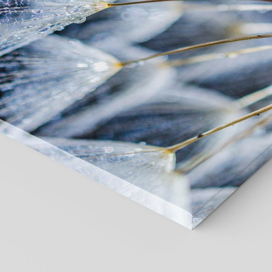 Obraz na płótnie 80x120 - Makro piękno dmuchawców - makro, dmuchawce