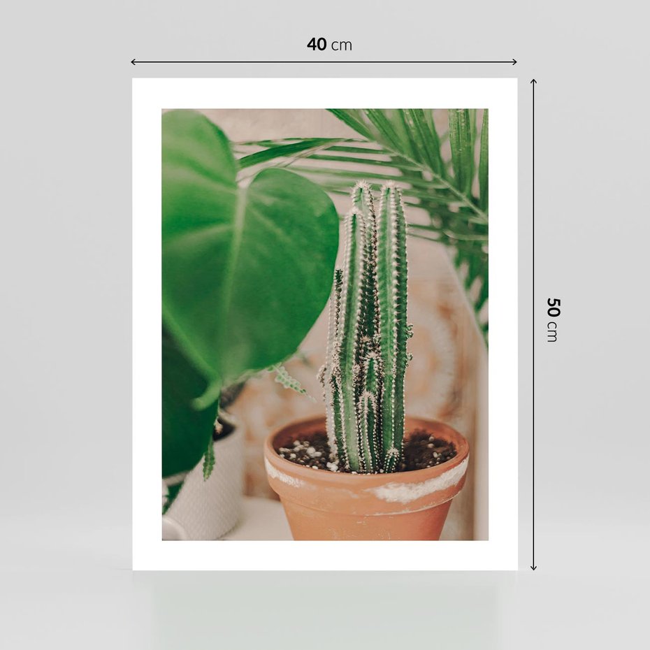 Plakat bez ramy 40x50 - Boho Urok - kaktus w doniczce, gliniana doniczka
