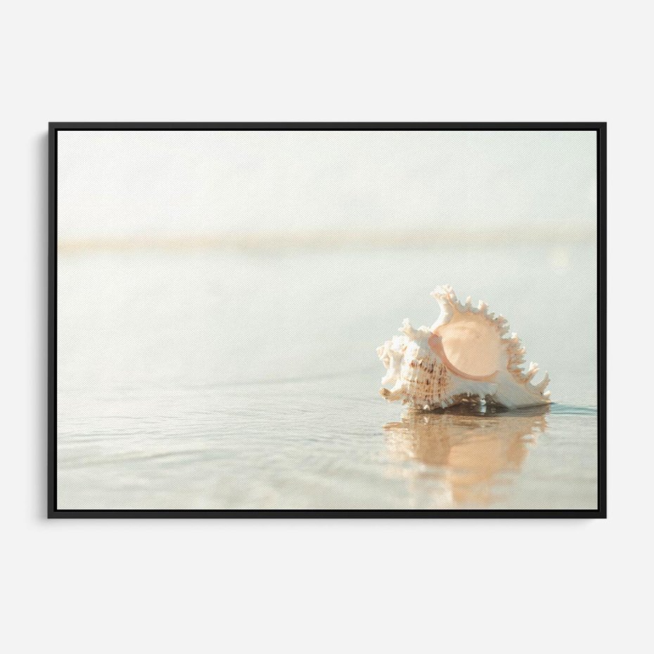 Obraz w ramie 70x50 - Spokój Plaży - fotografia, biała muszla na plaży - rama czarna