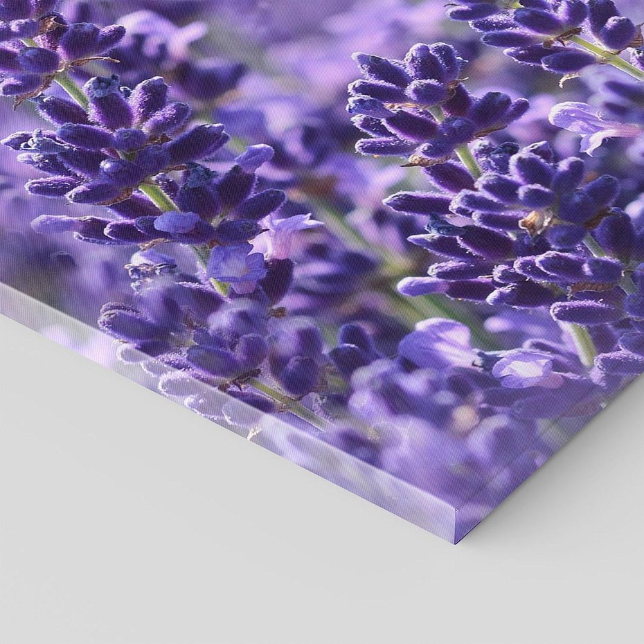 Obraz na płótnie 80x120 - Magia lawendy delikatne kwiaty - lawenda, kwiat