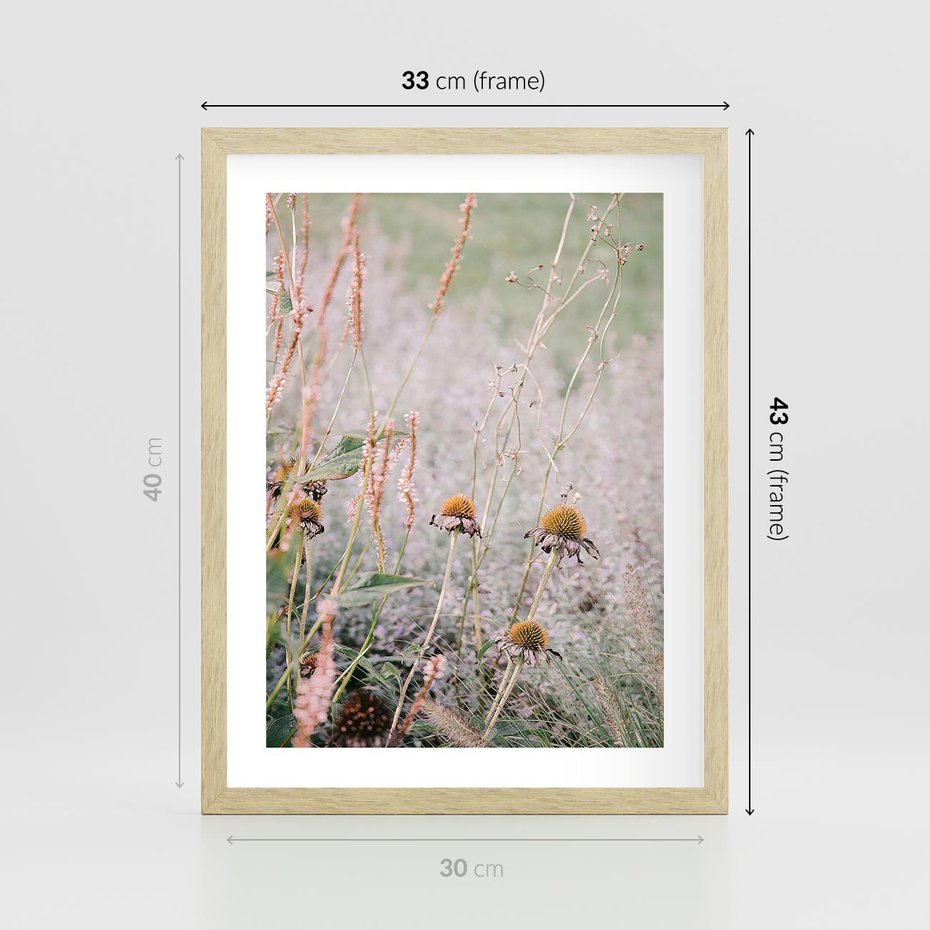 Plakat w ramie 30x40 - Przyroda w Pełnym Blasku: Kolorowa łąka z Kwiatami - łąka, kwiaty na łące - rama drewno