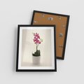 Plakat w ramie 40x50 - Delikatność storczyka orchidei - storczyk, orchidea - rama czarna