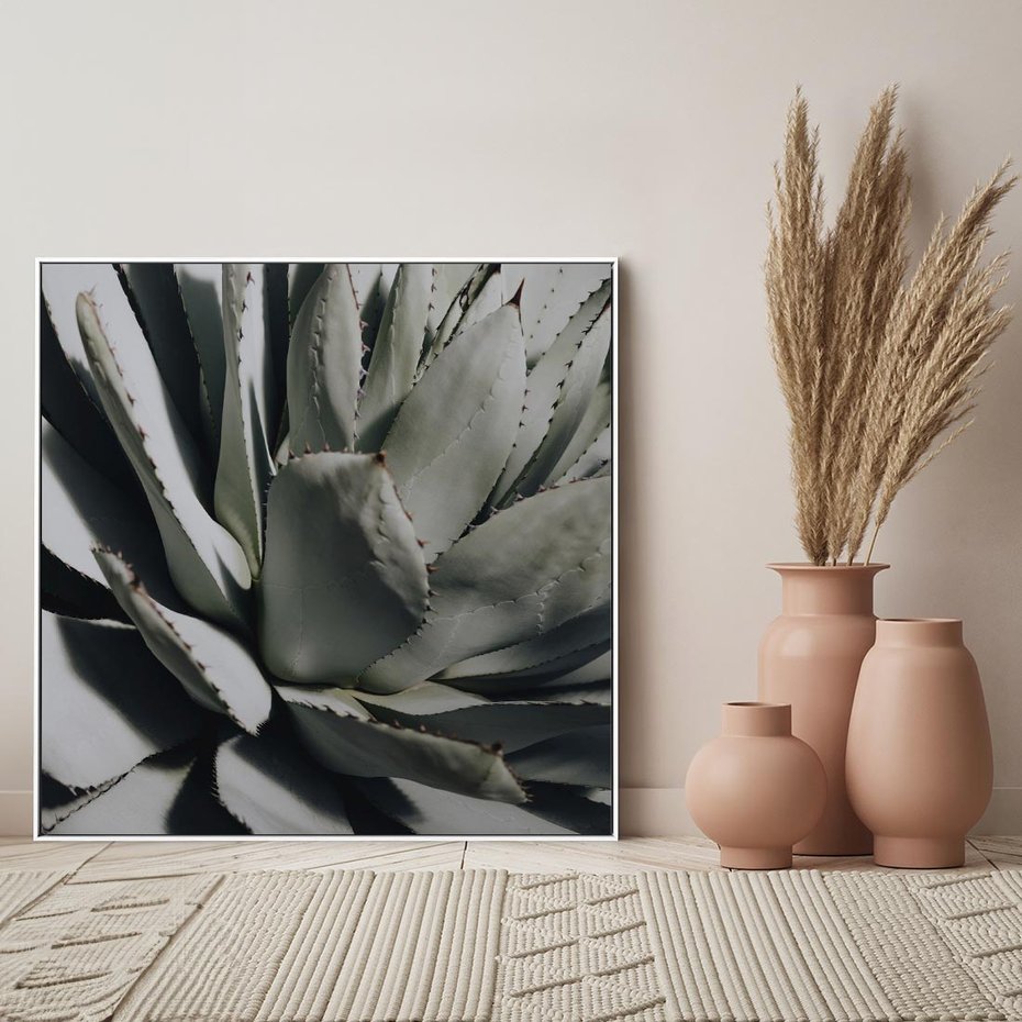 Obraz w ramie 80x80 - Sukulenty wśród kaktusów - sukulenty, kaktusy - rama biała