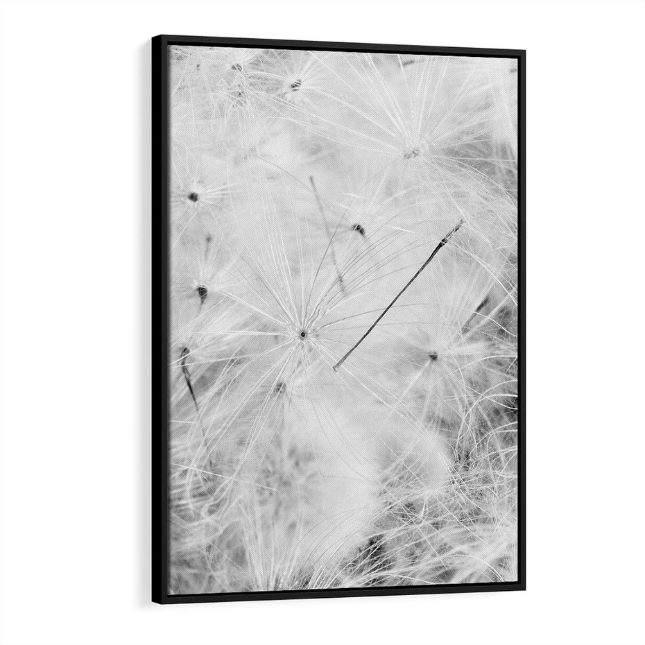 Obraz w ramie 70x100 - Zdmuchnięty Puch - dmuchawce, delikatne - rama czarna
