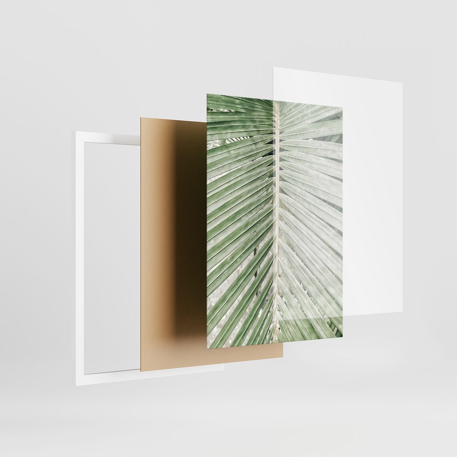 Zestaw obrazy w ramie 30x40 galeria - Liście, palma, tropikalne - rama biała