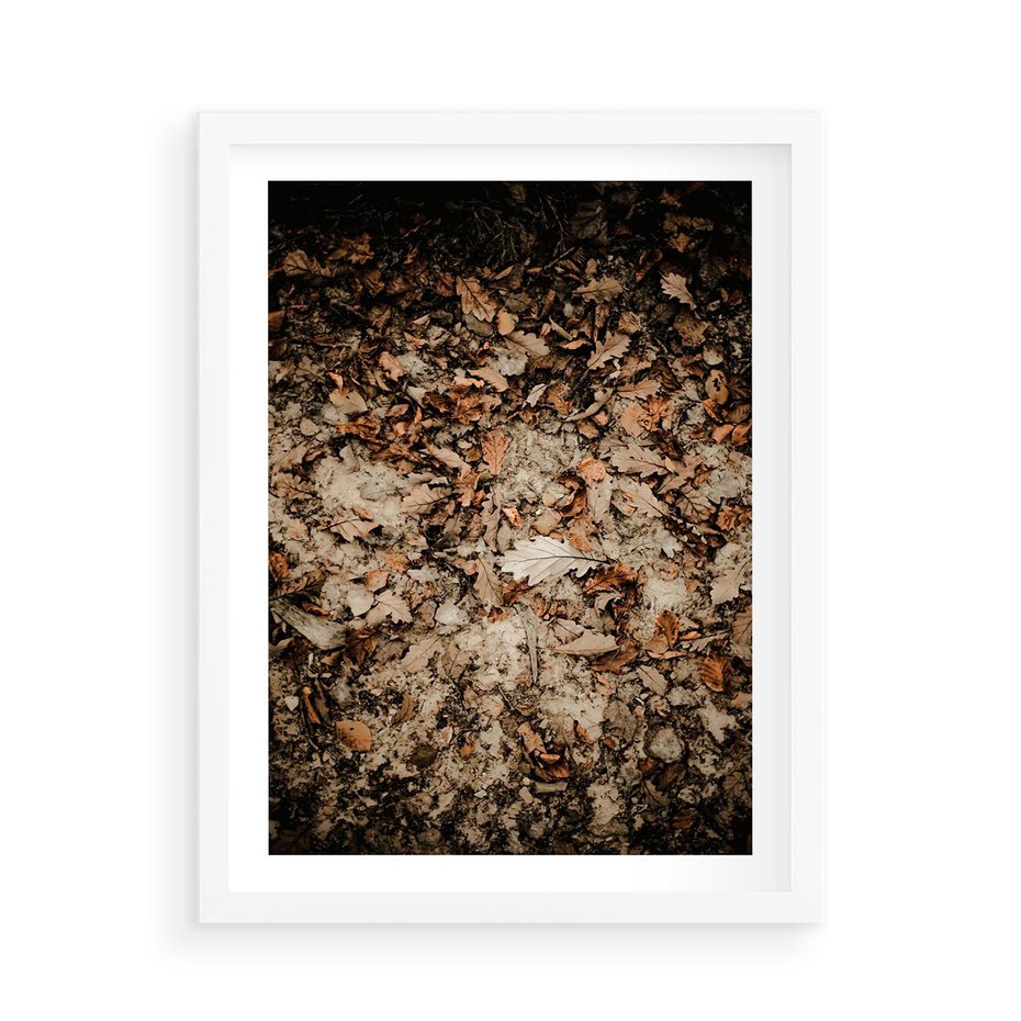 Plakat w ramie 50x70 - Suchość Liści w Brązowych Tonach - suche liście jesień brąz - rama biała