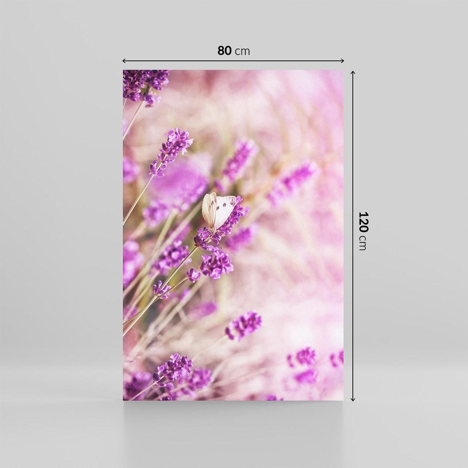 Obraz na płótnie 80x120 - Majestat lawendy: fioletowe pola - lawenda, fiolet
