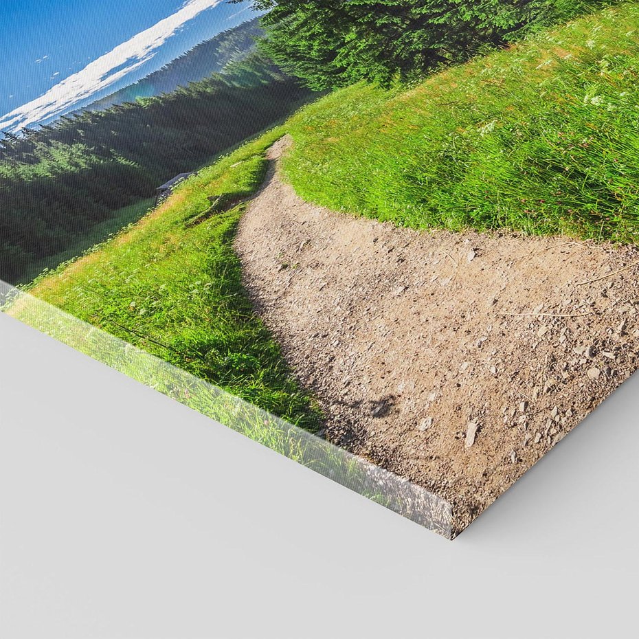 Obraz na płótnie 30x30 - Harmonia natury - góry, łąka