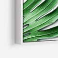 Obraz w ramie 50x50 - Monstera - Liście Kwiaty - monstera, liście - rama biała
