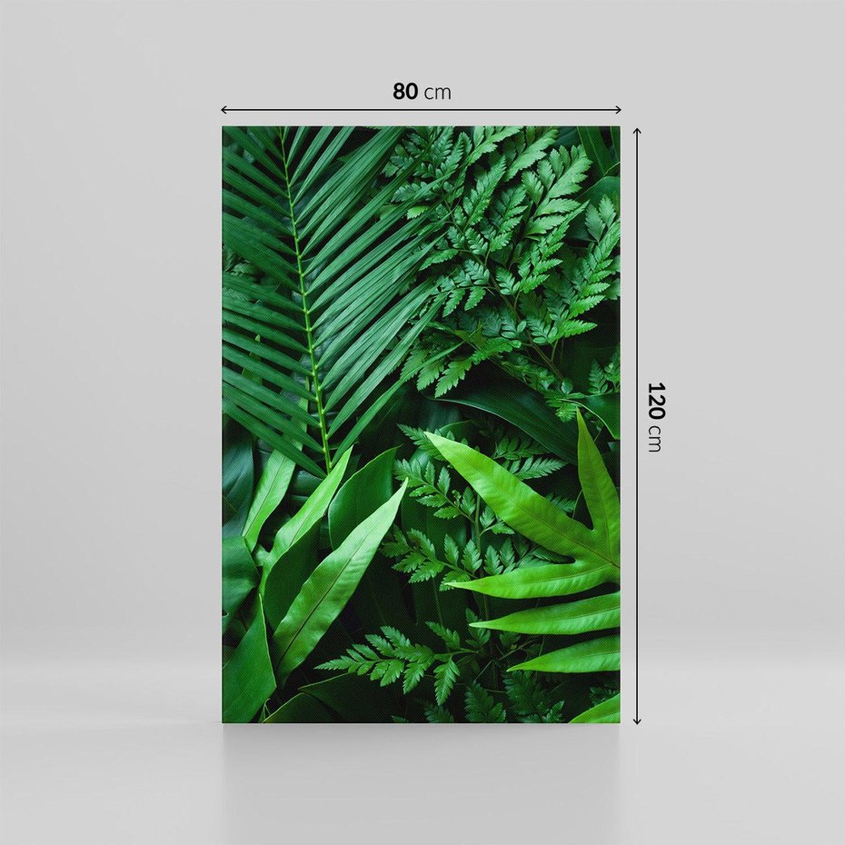 Obraz na płótnie 80x120 - Monstera Liście Fantazja - monstera, liście