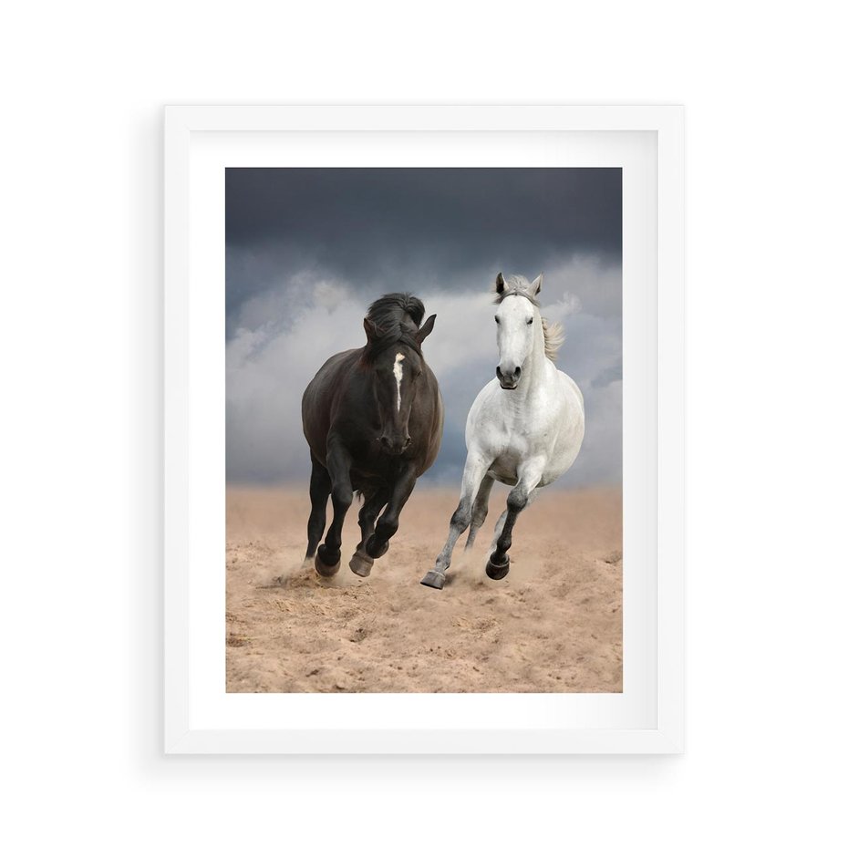 Plakat w ramie 40x50 - Siła koni w galopie - konie, galop - rama biała