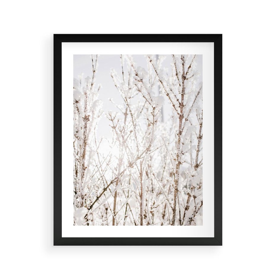 Plakat w ramie 40x50 - Szron na Gałęziach - ośnieżone gałązki, szron na gałęziach - rama czarna