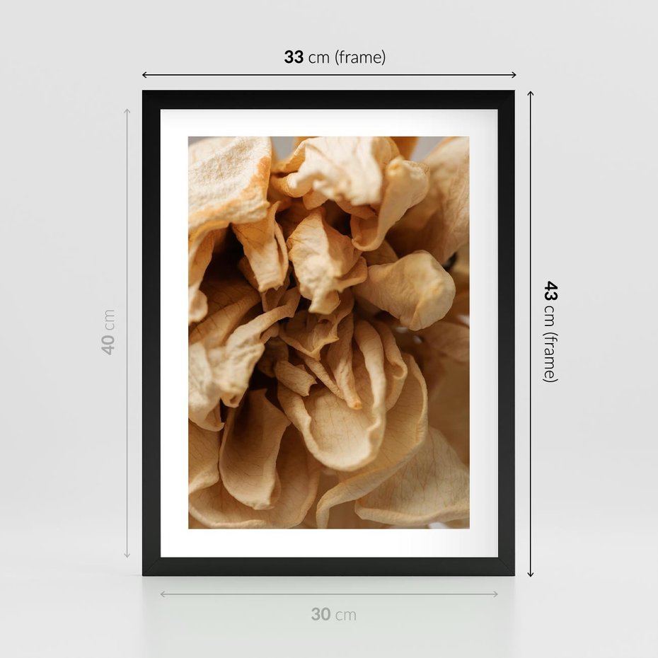 Plakat w ramie 30x40 - Zjawiskowe zasuszone kwiaty - zasuszone, kwiaty - rama czarna