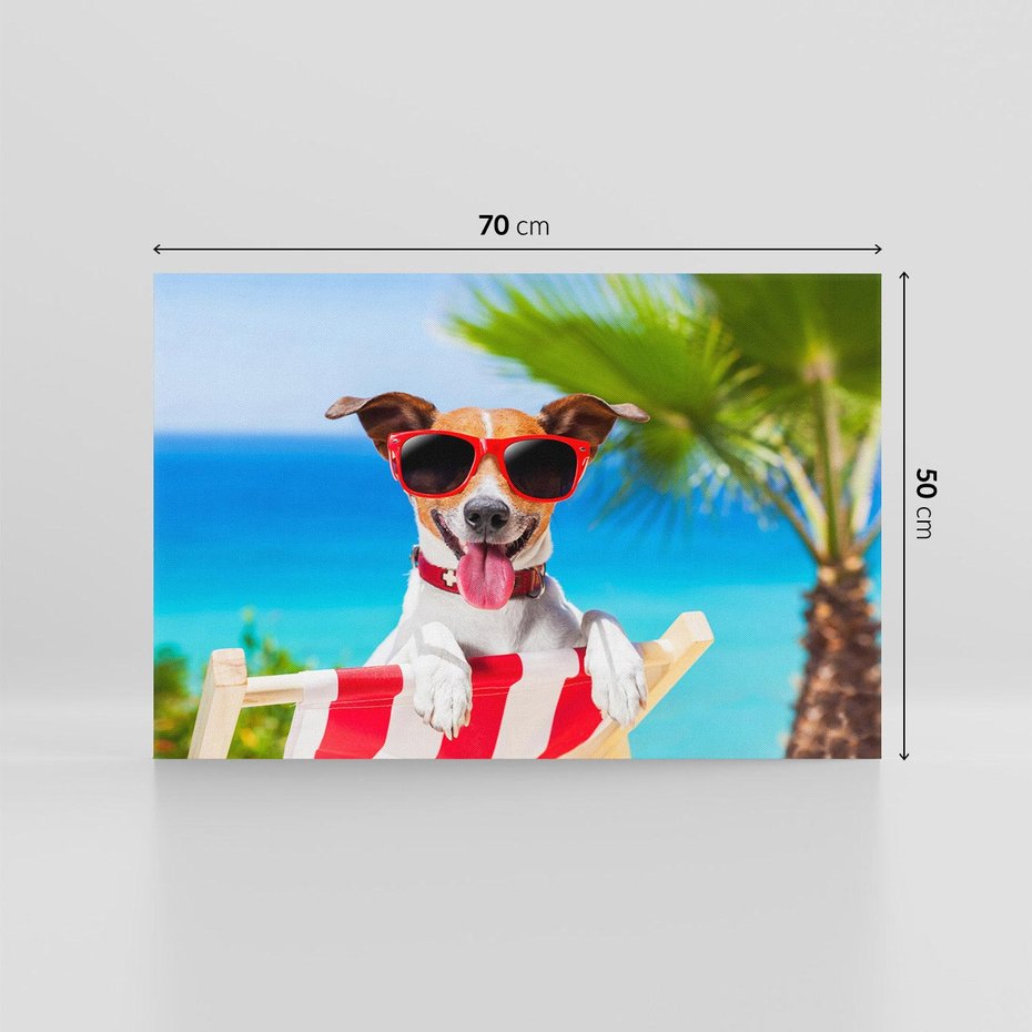 Obraz na płótnie 70x50 - Wakacyjny pies: Słoneczne przygody - pies, wakacje