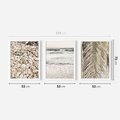 Zestaw obrazy w ramie 50x70 galeria - Plaża, boho, palmy, muszle, morze - rama biała