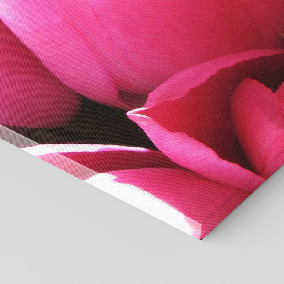 Obraz na płótnie 70x100 - Tulipany w pejzażu - tulipany, kwiaty