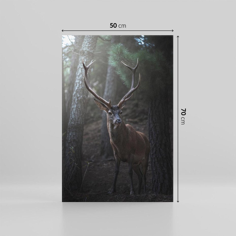 Obraz na płótnie 50x70 - Jeleń wśród lasu - jeleń, las