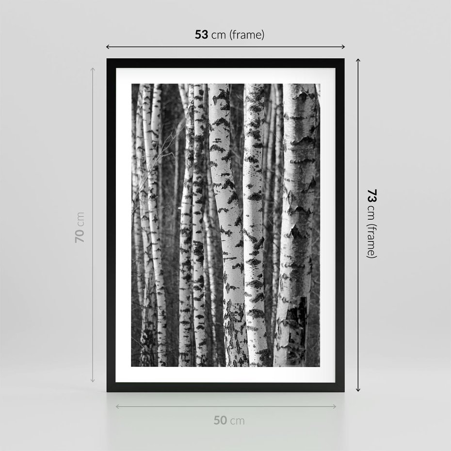 Plakat w ramie 50x70 - Kontrast Monochromatyczny - brzozy, czarno - rama czarna