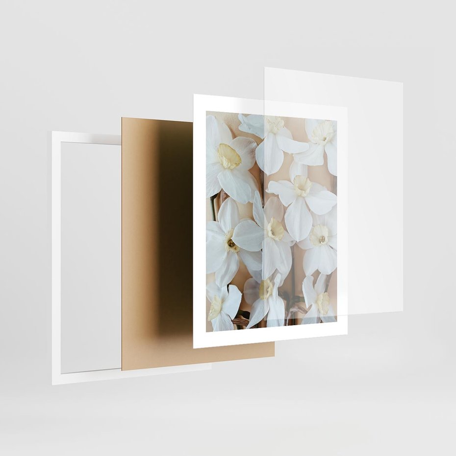 Plakat w ramie 40x50 - Białe Narcyzy - narcyzy, kwiaty - rama biała
