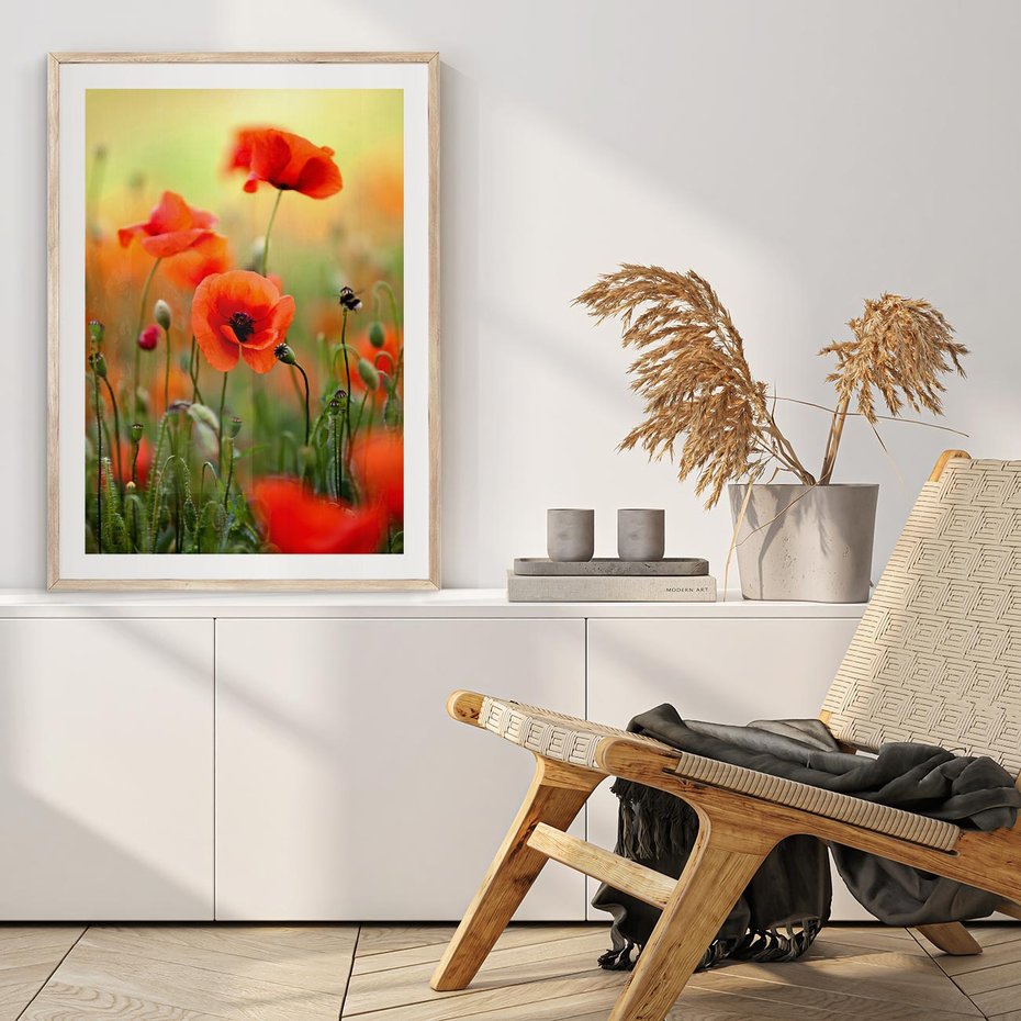 Plakat w ramie 50x70 - Makowa Pasja - maki, kwiaty - rama drewno
