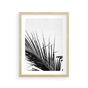 Plakat w ramie 30x40 - Sztuka Natury: Monochromatyczna Palma - palma, czarno białe zdjęcie - rama drewno