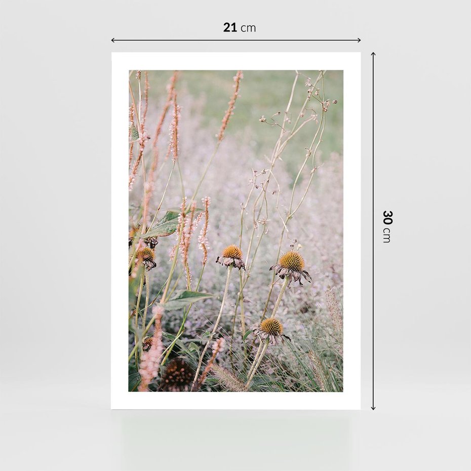 Plakat bez ramy 21x30 - Przyroda w Pełnym Blasku: Kolorowa łąka z Kwiatami - łąka, kwiaty na łące