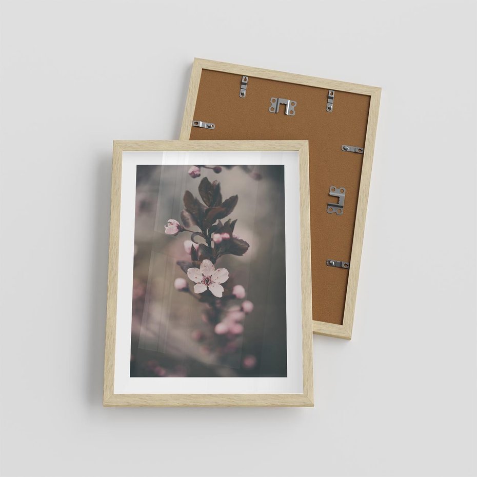 Plakat w ramie 30x40 - Przemijający Urok - kwitnąca, wiśnia - rama drewno