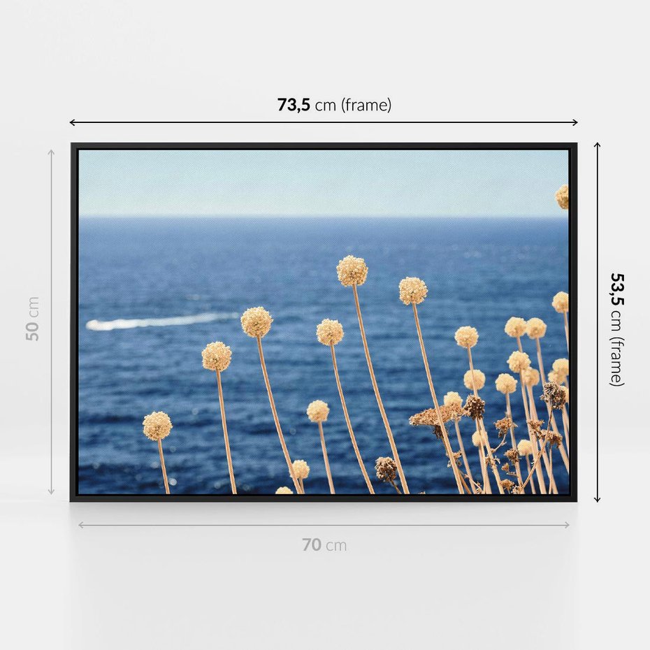 Obraz w ramie 70x50 - Kontrasty Natury - fotografia, pierwszy plan sucha roślinność - rama czarna