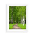 Plakat w ramie 50x70 - Spacer Ścieżką w Urokliwym Lesie - las, ścieżka - rama biała