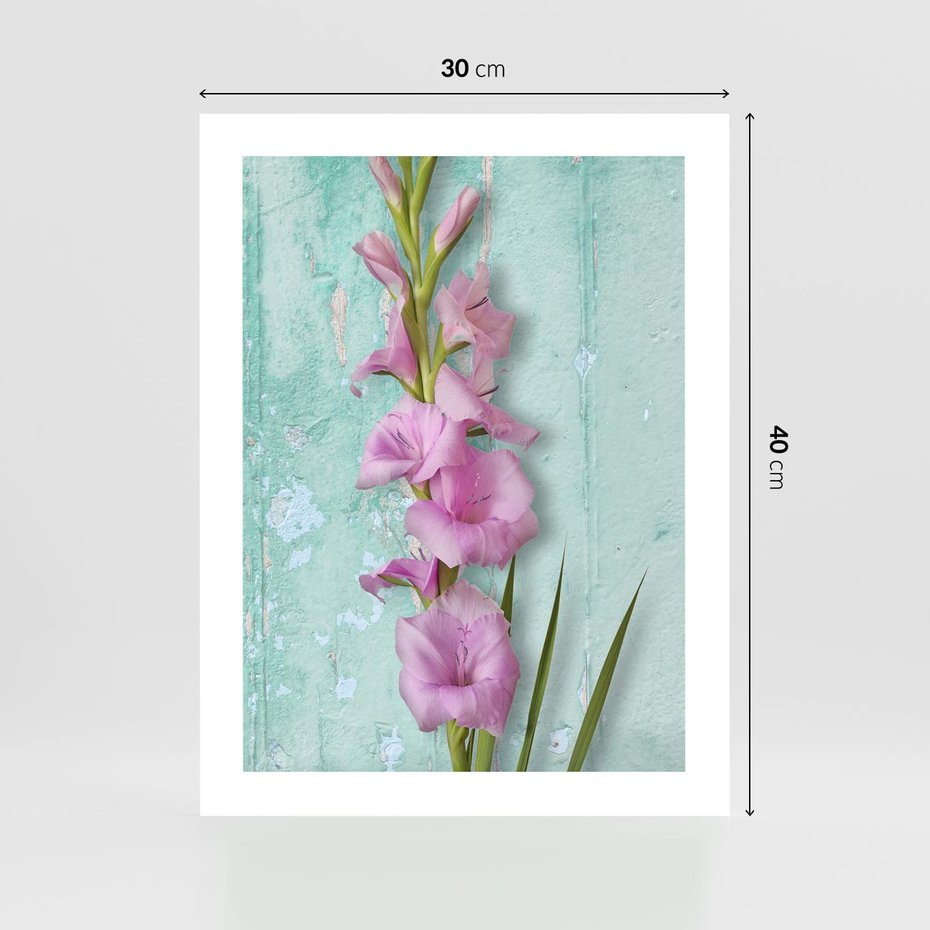 Plakat bez ramy 30x40 - Piękno w delikatności - kwiaty, różowe