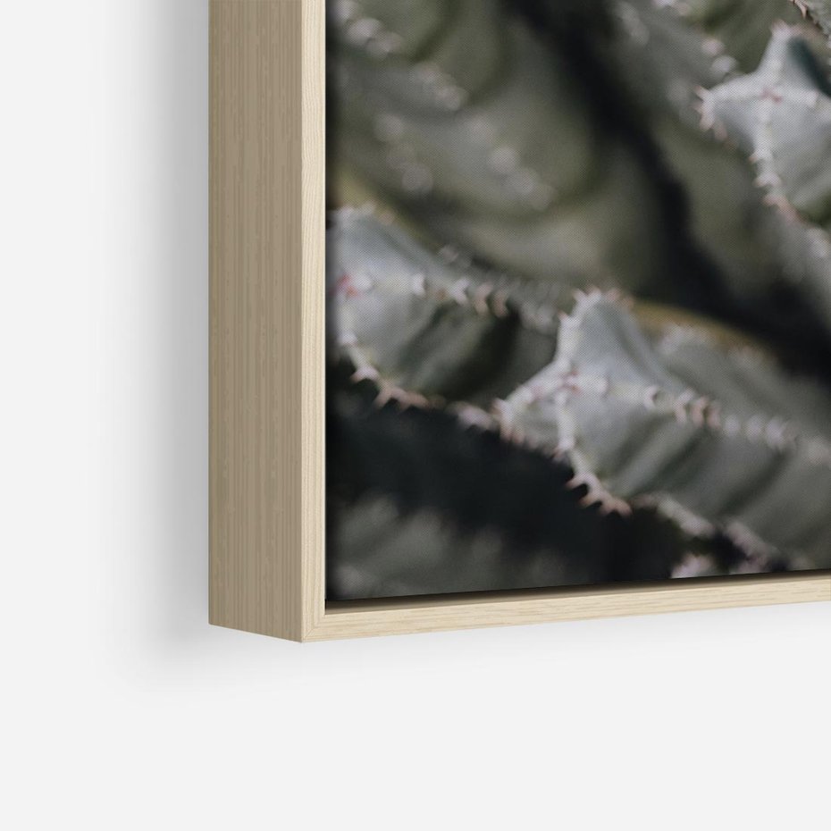 Obraz w ramie 80x80 - Boho kaktusy na pustyni - kaktusy, pustynia - rama drewno