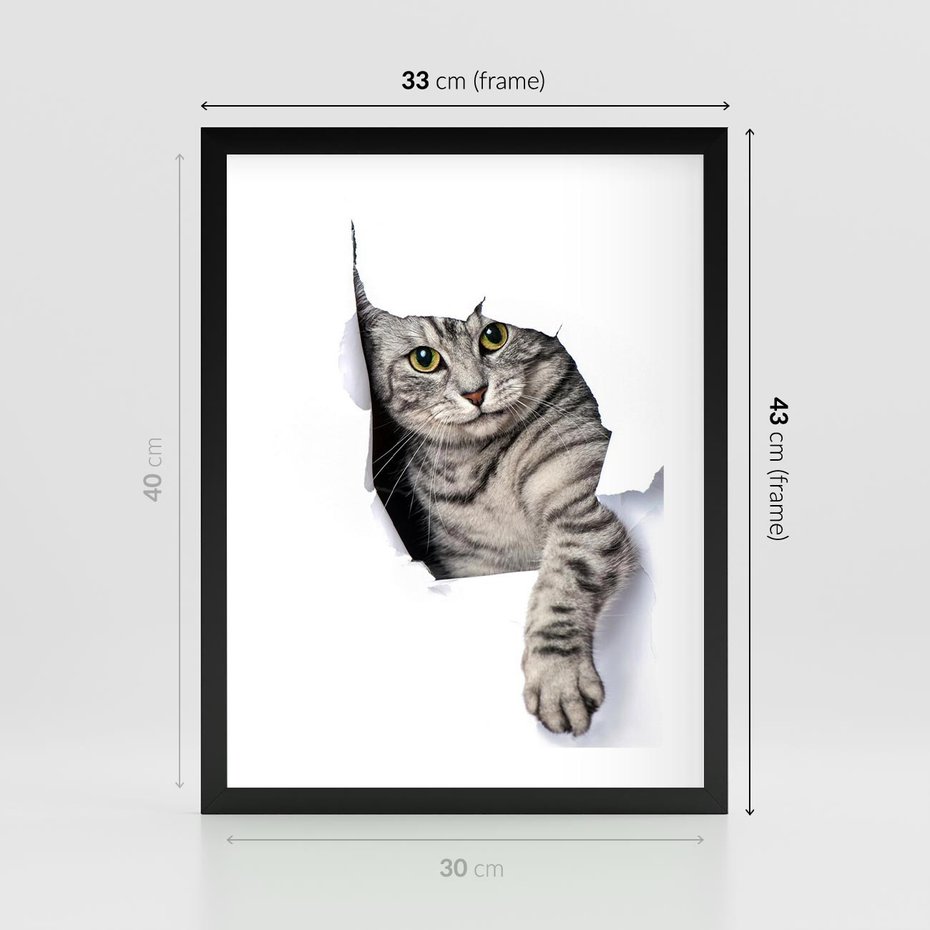 Plakat w ramie 30x40 - Tajemniczy kot i jego świat - kot, dziura - rama czarna