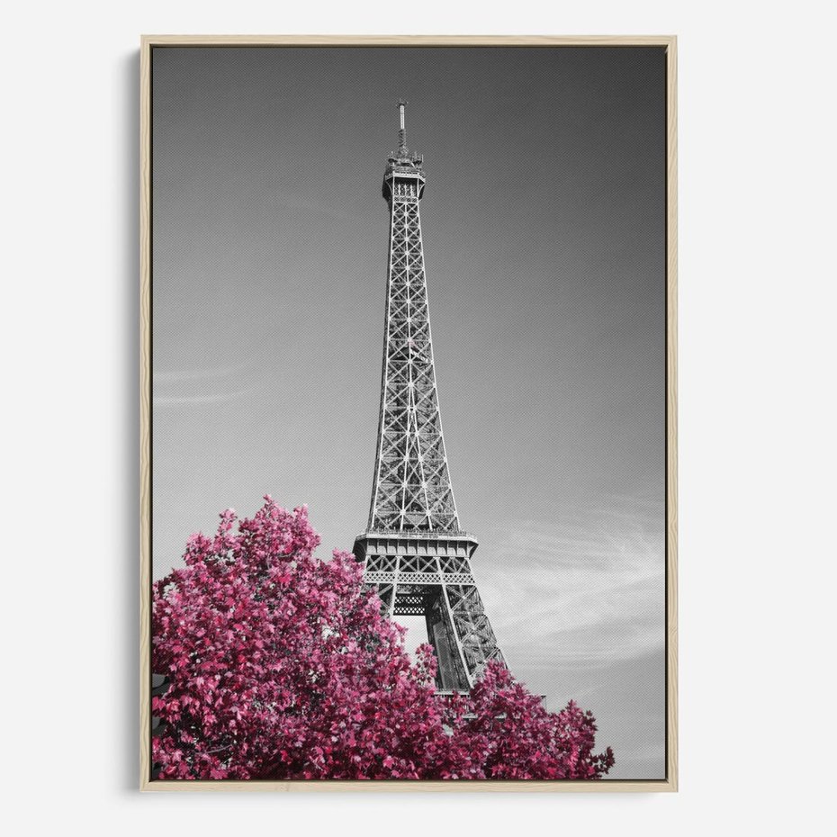 Obraz w ramie 50x70 - Różowy Paryż - czarno białe zdjęcie, wieża eiffla - rama drewno