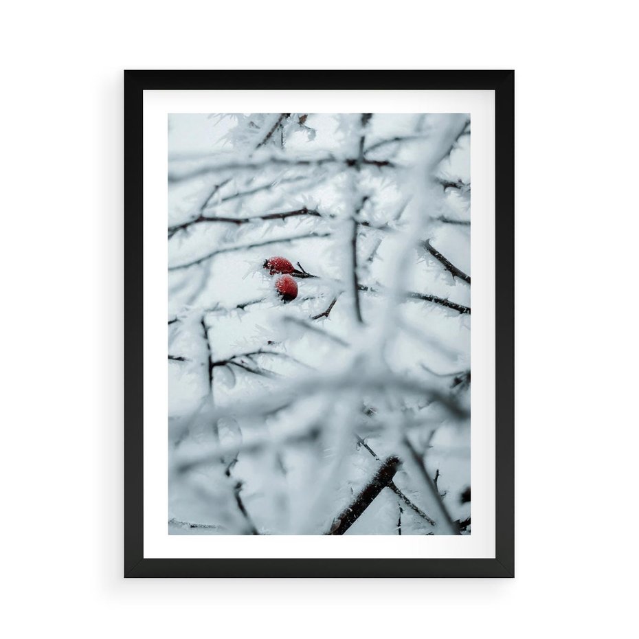 Plakat w ramie 50x70 - Zima w Detalu: Gałęzie ze Szronem i Śniegiem - śnieg, zima - rama czarna