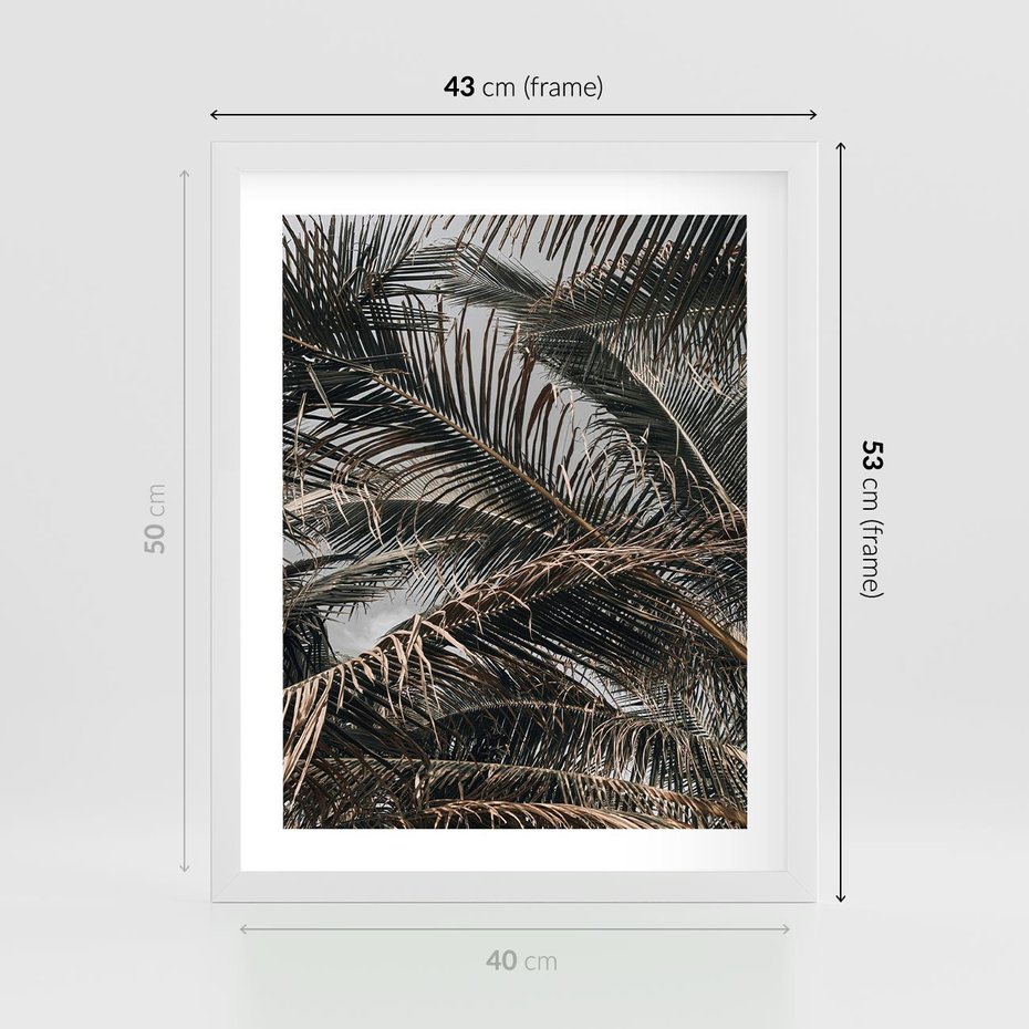 Plakat w ramie 40x50 - Liściaste Palmy - palmy, drzewa palmowe - rama biała
