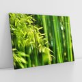 Obraz na płótnie 120x80 - Spokój bambusowego lasu SPA - bambus, drzewa