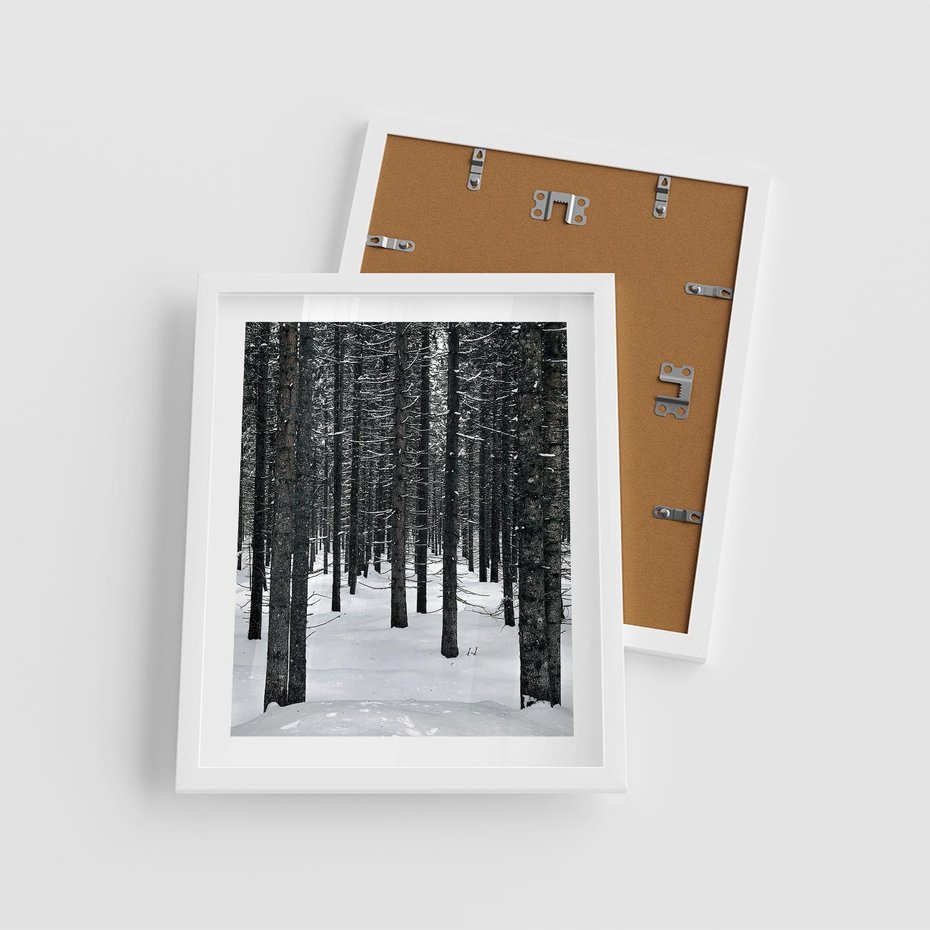 Plakat w ramie 40x50 - Zimowe Drzewa: Śnieg na Pniach - drzew w zimi, pnie drzew - rama biała