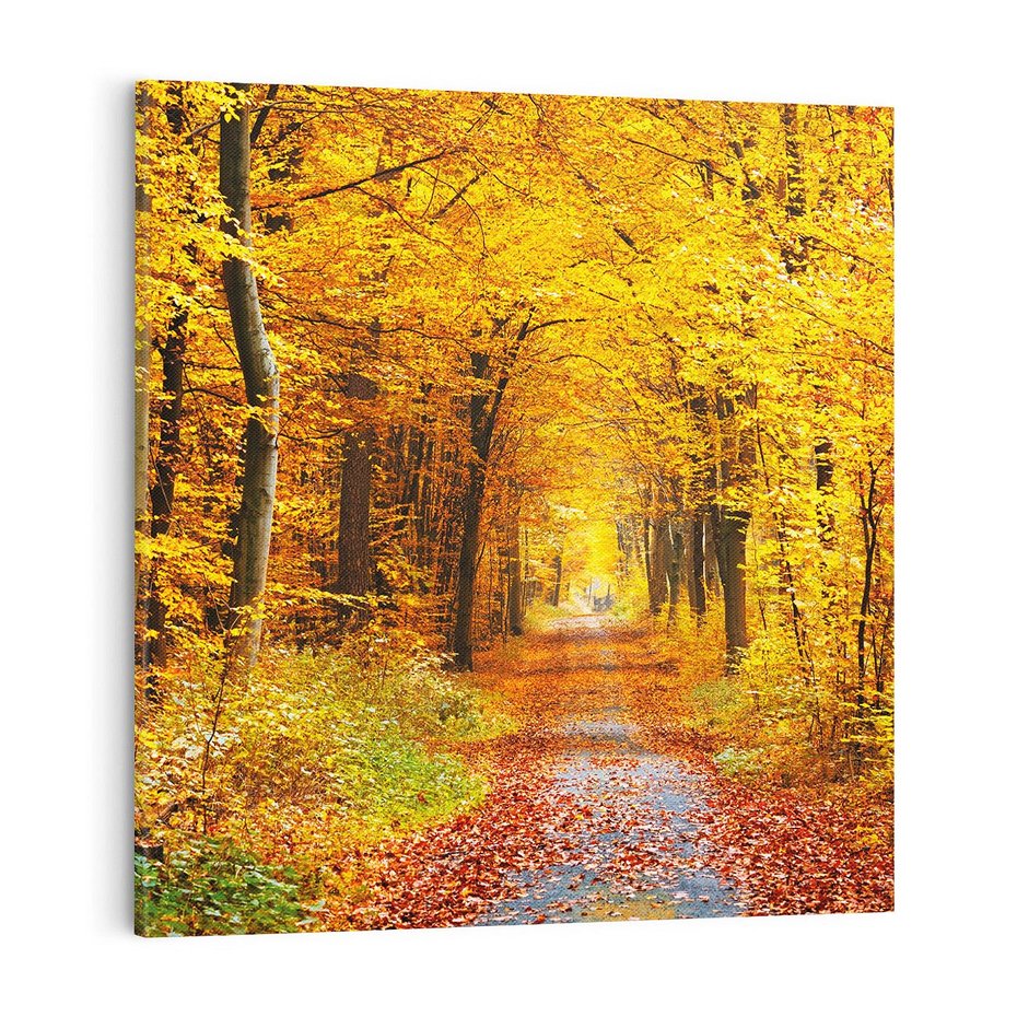 Obraz na płótnie 50x50 - Jesień w lesie - las, drzewa