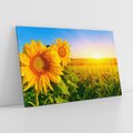 Obraz na płótnie 100x70 - Słoneczniki na malowniczej łące - słoneczniki, łąka