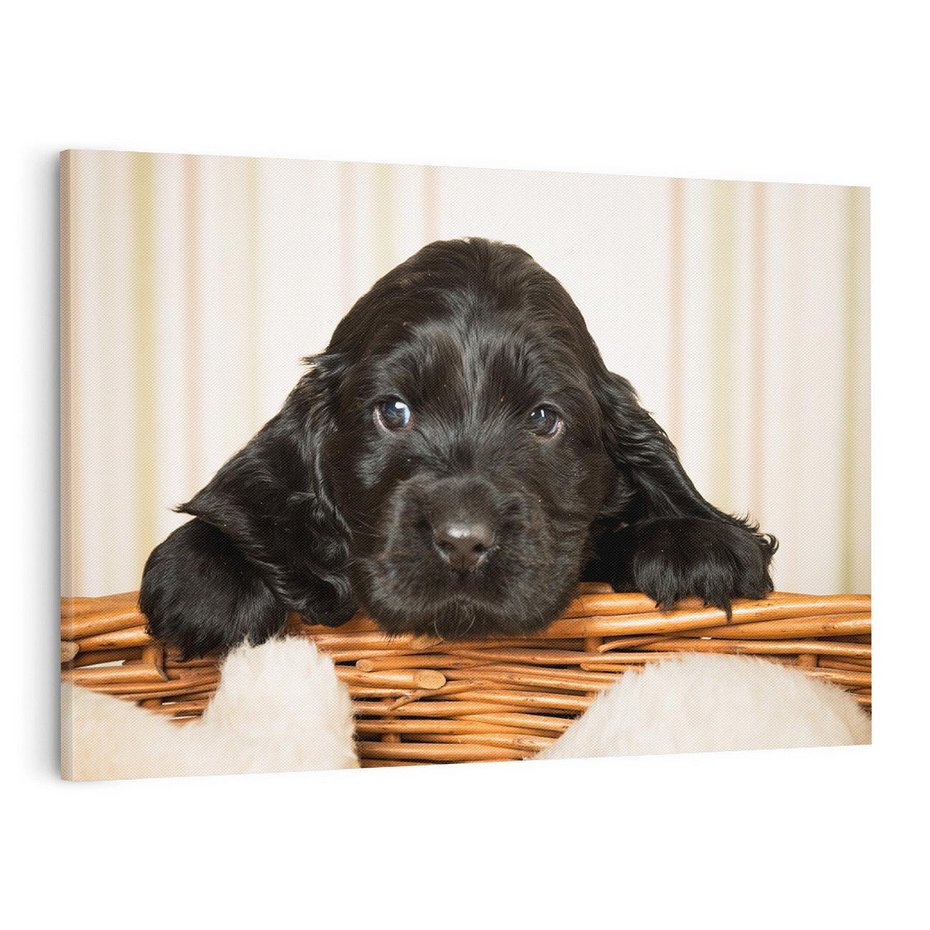 Obraz na płótnie 120x80 - Uroczy szczeniak w akcji - piesek, szczeniak