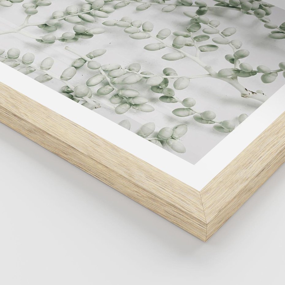 Plakat w ramie 50x70 - Delikatność Zieleni - zielone gałązki, listki - rama drewno