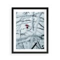 Plakat w ramie 40x50 - Zima w Detalu: Gałęzie ze Szronem i Śniegiem - śnieg, zima - rama czarna