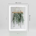 Plakat w ramie 50x70 - Uwodzicielska zieleń eukaliptusa - eukaliptus, zielone - rama biała