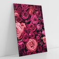 Obraz na płótnie 50x70 - Róże - piękno kwiatów - róże, kwiaty