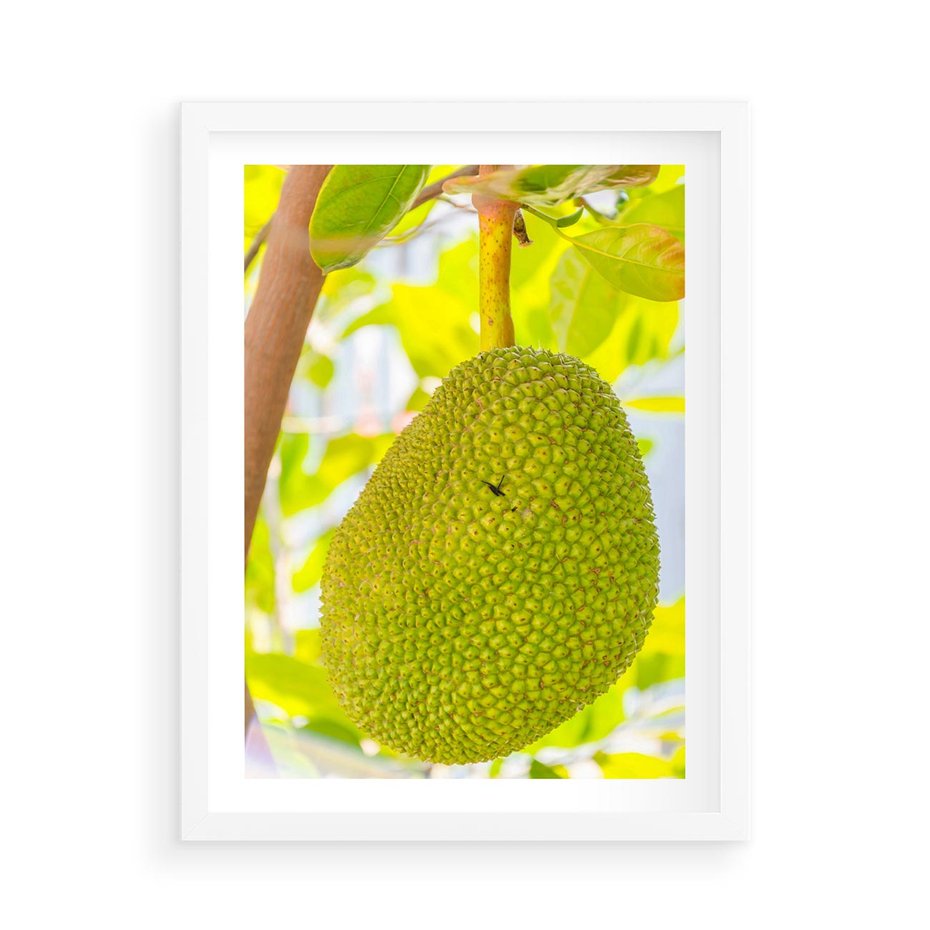 Plakat w ramie 50x70 - Tropikalny raj nad morzem - tropikalny, owoc - rama biała