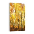 Obraz na płótnie 50x70 - Jesienny Las - Kolorowa Paleta Natury - jesień, drzewa