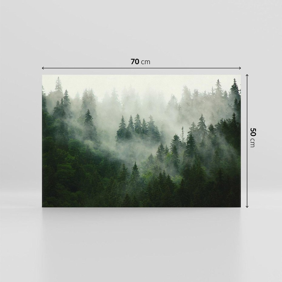 Obraz na płótnie 70x50 - Las Mgły - Las, we