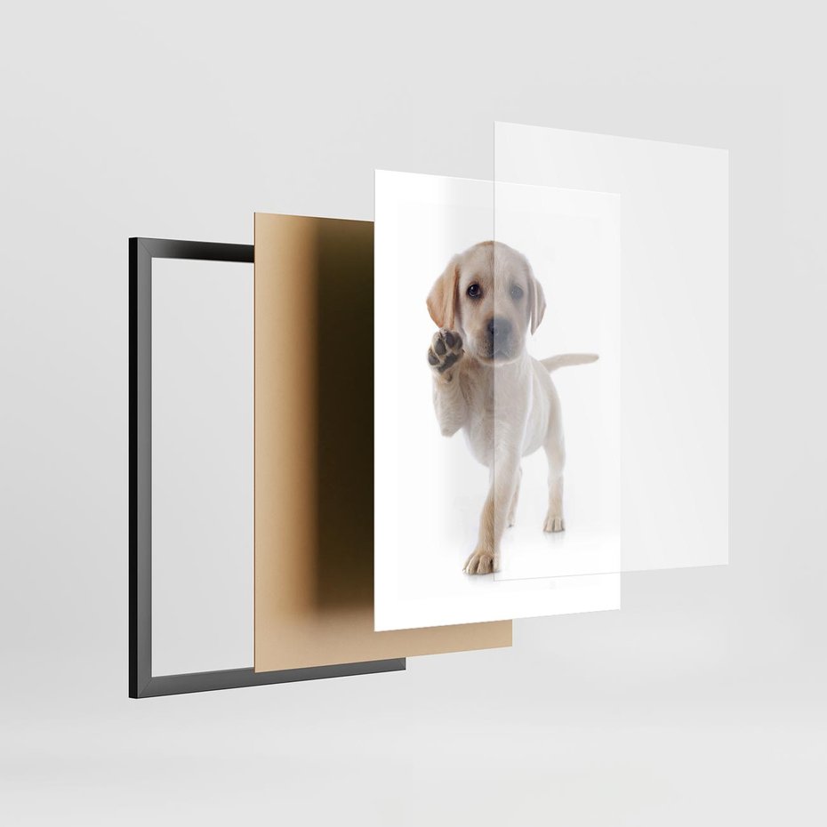 Plakat w ramie 30x40 - Szczeniak pełen radości - piesek, szczeniak - rama czarna