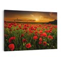 Obraz na płótnie 120x80 - Maki na łące: Przebudzenie wiosny - mak, maki
